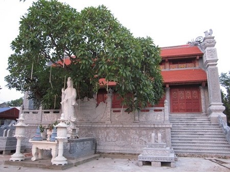 Cuong Xa- a hundred year-old pagoda in Hai Duong - ảnh 1